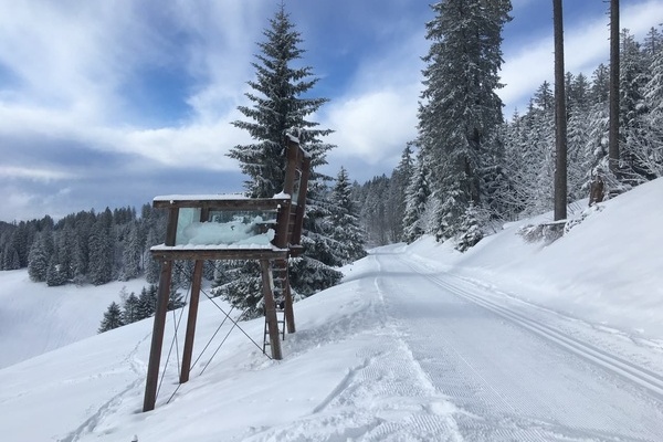 Loipe und Wanderweg - Panoramaweg