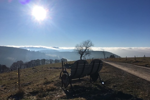 Im Herbst ber den Wolken 