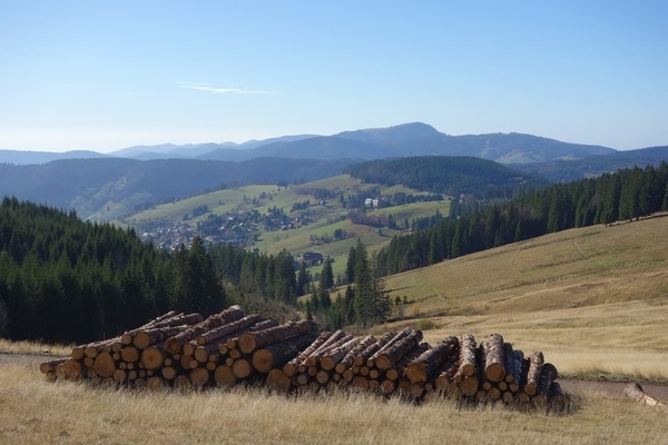 Blick auf Todtnauberg und den Belchen