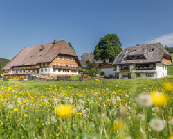 Unterhfenhof (Titisee-Neustadt)