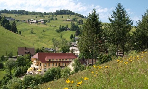 Naturparkhotel Grner Baum (Todtnau)