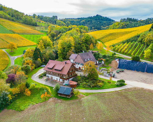 Weinbau Huber (Oberkirch)