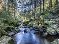Mit freundlicher Genehmigung der Hotzenwald Tourismus GmbH Mit freundlicher Genehmigung der Hotzenwald Tourismus GmbH
