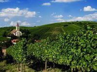 WG Auggen Landschaft WG Auggen Landschaft