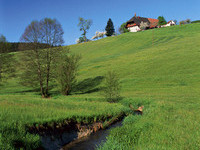 Bach Biederbach (Bildnachweis: Tourismus GmbH & Co.KG ZweiTälerLand ) Bach Biederbach (Bildnachweis: Tourismus GmbH & Co.KG ZweiTälerLand )