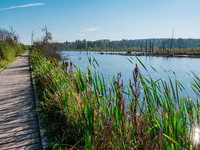 (Bildnachweis: Wirtschaft und Tourismus Villingen-Schwenningen GmbH) (Bildnachweis: Wirtschaft und Tourismus Villingen-Schwenningen GmbH)