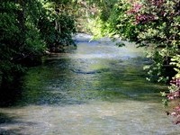 Tiefenbronn (Bildnachweis: Mit freundlicher Genehmigung des Brgermeisteramtes Tiefenbronn)