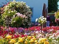 (Bildnachweis: Mit freundlicher Genehmigung der Tourist Information" Am Roseneck" Weilheim) (Bildnachweis: Mit freundlicher Genehmigung der Tourist Information" Am Roseneck" Weilheim)