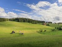  (Bildnachweis: Gemeinde Schnwald im Schwarzwald / Michael Stifter)