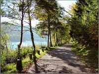 Mit freundlicher Genehmigung der Touristik Seewald (Bildnachweis: Mit freundlicher Genehmigung der Touristik Seewald) Mit freundlicher Genehmigung der Touristik Seewald (Bildnachweis: Mit freundlicher Genehmigung der Touristik Seewald)