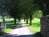 (Bildnachweis: 4ws-netdesign) (Bildnachweis: 4ws-netdesign)