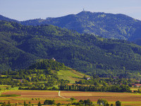 (Bildnachweis: Copyright: Ferienregion Münstertal Staufen, Erich Spiegelhalter) (Bildnachweis: Copyright: Ferienregion Münstertal Staufen, Erich Spiegelhalter)