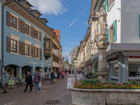  (Bildnachweis: Copyright: Mit freundlicher Genehmigung der Stadtverwaltung Waldshut-Tiengen (Foto: Dieter Schuble))