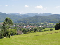 ©Gemeinde Bollschweil (Bildnachweis: ©Gemeinde Bollschweil) ©Gemeinde Bollschweil (Bildnachweis: ©Gemeinde Bollschweil)