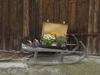 Fröhnd (Bildnachweis: Mit freundlicher Genehmigung der Schwarzwaldregion Belchen) Fröhnd (Bildnachweis: Mit freundlicher Genehmigung der Schwarzwaldregion Belchen)