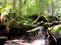 Monbachtal (Bildnachweis: Mit freundlicher Genehmigung der Kurverwaltung Bad Liebenzell GmbH) Monbachtal (Bildnachweis: Mit freundlicher Genehmigung der Kurverwaltung Bad Liebenzell GmbH)