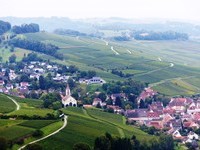  (Bildnachweis: Mit freundlicher Genehmigung der Touristikinformation Auggen / Winzerkeller Auggener Schäf)