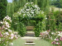 (Bildnachweis: Mit freundlicher Genehmigung der Bade- und Kurverwaltung Bad Bellingen) (Bildnachweis: Mit freundlicher Genehmigung der Bade- und Kurverwaltung Bad Bellingen)