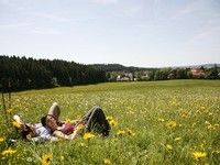 (Bildnachweis: Mit freundlicher Genehmigung der Stadt Bad Dürrheim) (Bildnachweis: Mit freundlicher Genehmigung der Stadt Bad Dürrheim)
