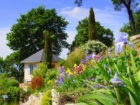 Gutedelgarten (Bildnachweis: Mit freundlicher Genehmigung der Badenweiler Thermen und Touristik GmbH) Gutedelgarten (Bildnachweis: Mit freundlicher Genehmigung der Badenweiler Thermen und Touristik GmbH)