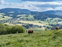  (Bildnachweis: Mit freundlicher Genehmigung Tourist Information Bernau)