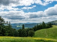  (Bildnachweis: Mit freundlicher Genehmigung Tourist Information Bernau)