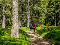  (Bildnachweis: Mit freundlicher Genehmigung Tourist Information Bernau)