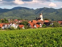 (Bildnachweis: Copyright und Fotograf: Th. Coch) (Bildnachweis: Copyright und Fotograf: Th. Coch)