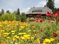 (Bildnachweis: Tourist-Information Grafenhausen) (Bildnachweis: Tourist-Information Grafenhausen)