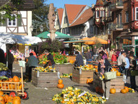 (Bildnachweis: Mit freundlicher Genehmigung der Stadt Haslach) (Bildnachweis: Mit freundlicher Genehmigung der Stadt Haslach)