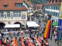 (Bildnachweis: Mit freundlicher Genehmigung der Stadt Haslach) (Bildnachweis: Mit freundlicher Genehmigung der Stadt Haslach)