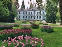(Bildnachweis: Mit freundlicher Genehmigung der Stadt Lahr) (Bildnachweis: Mit freundlicher Genehmigung der Stadt Lahr)