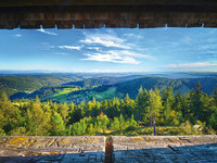 Mit freundlicher Genehmigung der Tourist-Information Todtmoos, sinopia graphics (Bildnachweis: Mit freundlicher Genehmigung der Tourist-Information Todtmoos, sinopia graphics) Mit freundlicher Genehmigung der Tourist-Information Todtmoos, sinopia graphics (Bildnachweis: Mit freundlicher Genehmigung der Tourist-Information Todtmoos, sinopia graphics)