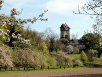 (Bildnachweis: MIt freundlicher Genehmigung der Gemeinde Sasbach, Frau Heike Scheiding-Brode) (Bildnachweis: MIt freundlicher Genehmigung der Gemeinde Sasbach, Frau Heike Scheiding-Brode)