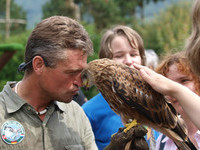 (Bildnachweis: Vogelpark-Steinen) (Bildnachweis: Vogelpark-Steinen)