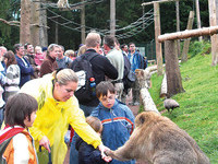 (Bildnachweis: Vogelpark-Steinen) (Bildnachweis: Vogelpark-Steinen)