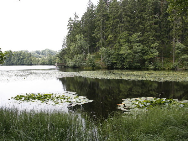  Copyright: (Mit freundlicher Genehmigung der Touristinfo Grafenhausen )