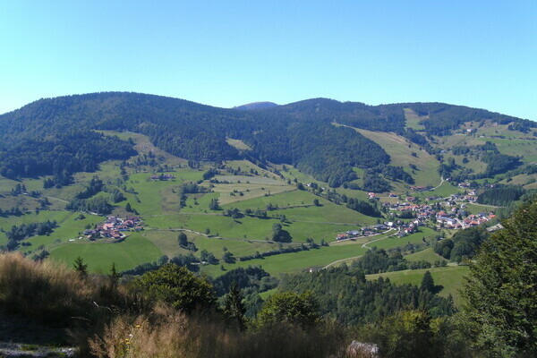 Copyright: (Mit freundlicher Genehmigung der Stadt Wieden) Copyright: (Mit freundlicher Genehmigung der Stadt Wieden)