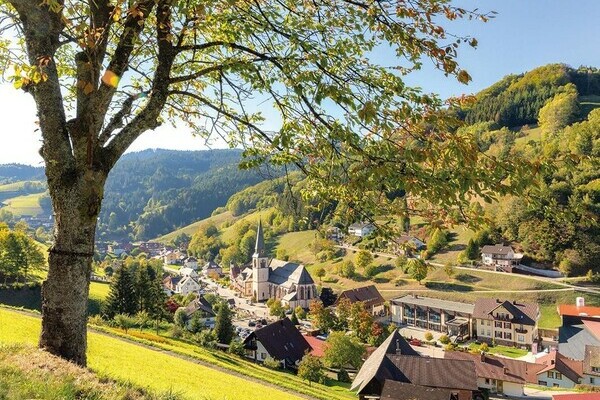 Premiumspazierwanderweg Panoramawegle Copyright: (Bad Peterstal-Griesbach)