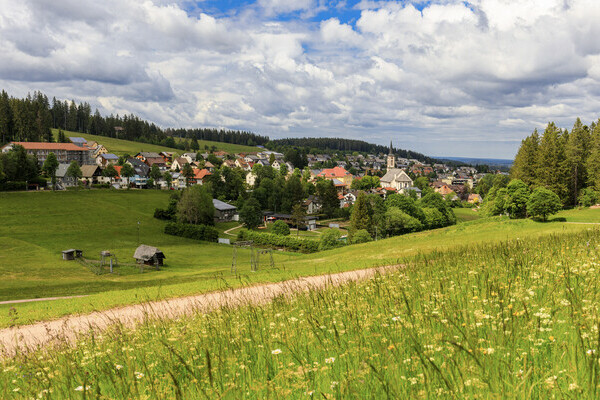  Copyright: (Mit freundlicher Genehmigung der Michael Stifter Gemeinde Sch�nwald)