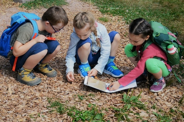 Annis Schwarzwald Geheimnis in Schnwald Copyright: ( Hochschwarzwald Tourismus GmbH)