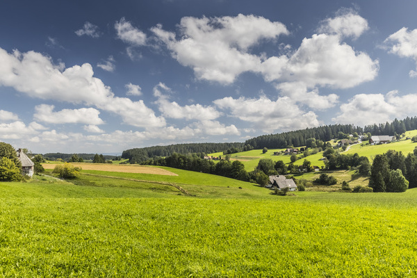 Heimatpfad rund um St. Georgen Bildnachweis:  Hochschwarzwald Tourismus GmbH