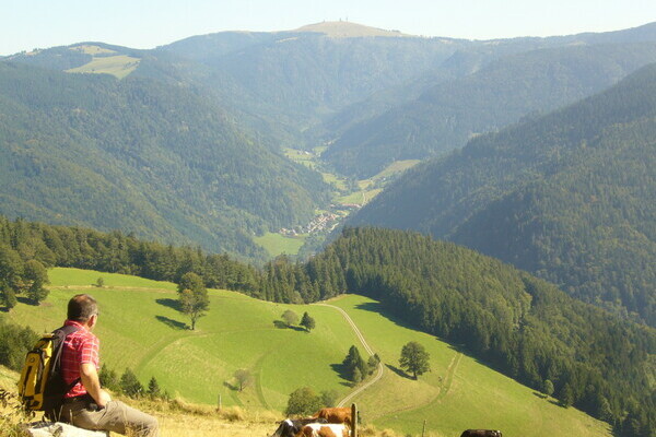 Aussicht auf die Berge des Dresiamtals Copyright: (Tourist-Information Dreisamtal) Aussicht auf die Berge des Dresiamtals Copyright: (Tourist-Information Dreisamtal)
