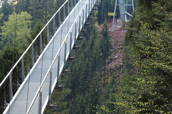 Wildline Hngeseilbrcke Copyright: (Hotel Rothfuss Bad Wildbad)