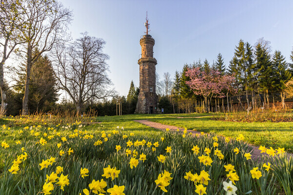 Friedrichsturm Copyright: (© Freudenstadt Tourismus) Friedrichsturm Copyright: (© Freudenstadt Tourismus)