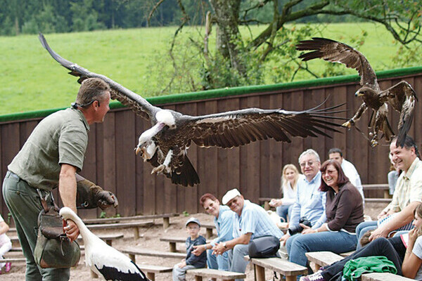  Bildnachweis: Mit freundlicher Genehmigung des Vogelpark Steinen